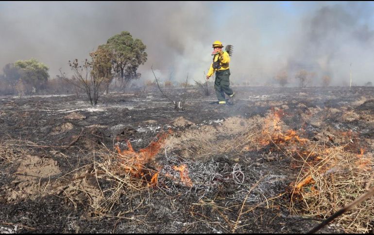 La alerta permanecerá activa hasta que el incendio sea completamente controlado.  X / @UMPCyBZ