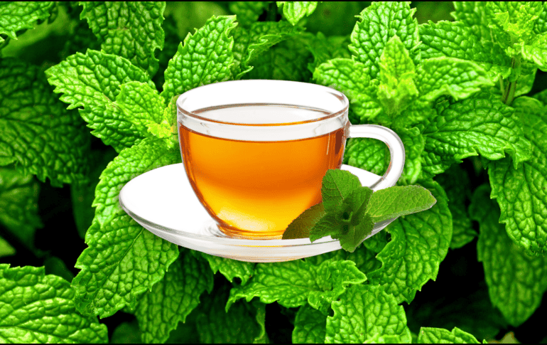 Un té con esta planta contiene vitaminas B1, B2, B3, B5, B6, C y E, aporta betacaroteno, biotina, calcio, magnesio, fósforo y potasio. ESPECIAL