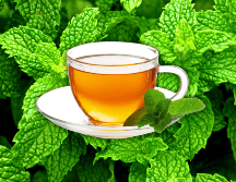 Un té con esta planta contiene vitaminas B1, B2, B3, B5, B6, C y E, aporta betacaroteno, biotina, calcio, magnesio, fósforo y potasio. ESPECIAL