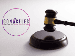 En la plataforma, cada aspirante cuenta con una ficha con datos relevantes respecto a su candidatura. ESPECIAL