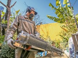 Las brigadas contra el dengue tienen la tarea de hurgar en todos los focos de riesgo para que no se desarrolle el mosquito transmisor. ESPECIAL