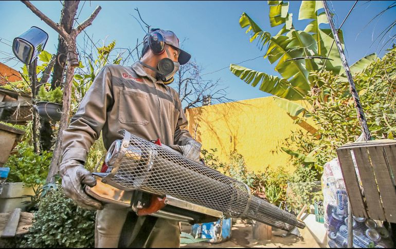 Las brigadas contra el dengue tienen la tarea de hurgar en todos los focos de riesgo para que no se desarrolle el mosquito transmisor. ESPECIAL