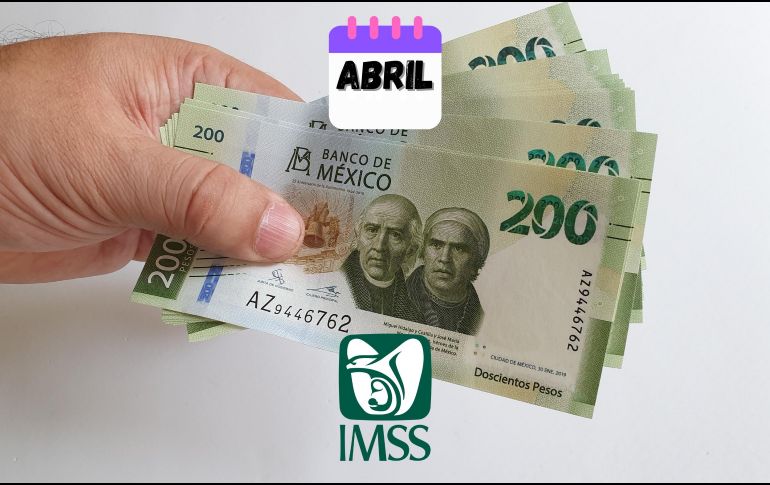 Cualquier duda o consulta adicional puede ser aclarada a través de los canales de comunicación oficiales del IMSS. ESPECIAL / CANVA