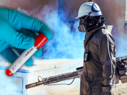 En total, 11 mil 111 casos fueron clasificados como dengue grave o dengue con signos de alarma, de los cuales 880 correspondieron a casos graves y el resto presentaron síntomas de alarma. EL INFORMADOR / ARCHIVO