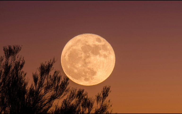 La Luna llena es una de las fases lunares que más atrae a los seguidores de la astronomía. UNSPLASH/ G. Kumar