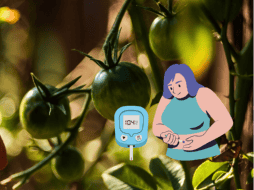 Además de ser un ingrediente fundamental en la cocina mexicana, el tomate verde también ofrece múltiples beneficios a quienes lo consumen. ESPECIAL