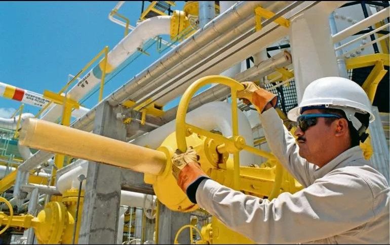 El valor de los decomisos se determina en aproximadamente 432 millones de pesos. EFE/ Archivo