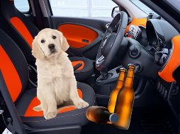 Los objetos que sobresalen del vehículo representan una amenaza significativa para la seguridad vial, no solo para el conductor, sino también para otros usuarios de la carretera. 
 CANVA