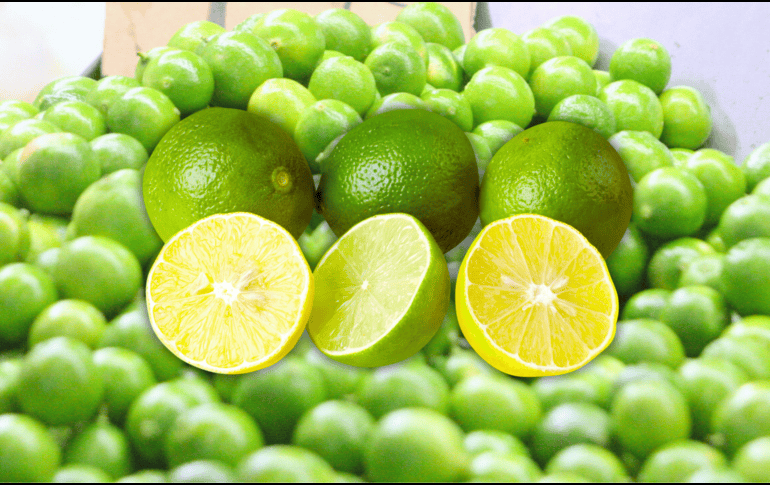 Las semillas del limón no son tóxicas. EL INFORMADOR / ARCHIVO