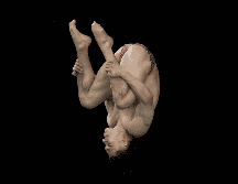 Osmar Olvera no vivió su mejor tarde y quedó penúltimo del evento. EFE/ ARCHIVO.