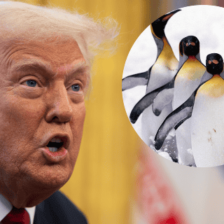 Trump impone aranceles a isla habitada por pingüinos