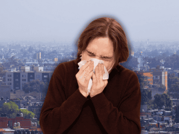 Se ha mostrado que la contaminación no únicamente provoca más sensibilización ante los alérgenos, sino también potencia sus efectos. SUN / ARCHIVO