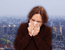 Se ha mostrado que la contaminación no únicamente provoca más sensibilización ante los alérgenos, sino también potencia sus efectos. SUN / ARCHIVO