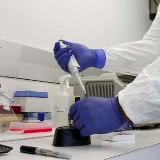 Detectan primer caso de gripe aviar en humanos en México