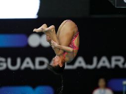 La clavadista mexicana, Gabriela Agúndez tuvo un cierre complicado en las últimas dos etapas de la Final Mixta en la Copa Mundial de Clavados, después de que cometió dos errores que impidieron el medallero para la delegación nacional. EFE / F. Guasco