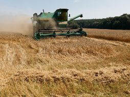 Productores de EU exportan principalmente a China. AFP