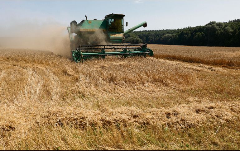 Productores de EU exportan principalmente a China. AFP