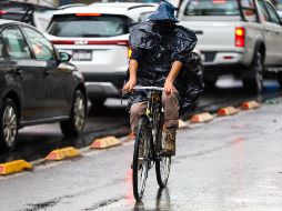 Con la llegada del mes de abril el fenómeno conocido como 