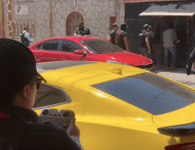 En el interior de la finca fue localizado un canino de aproximadamente tres años de edad, de color negro y en aparente buen estado de salud.  CORTESÍA.