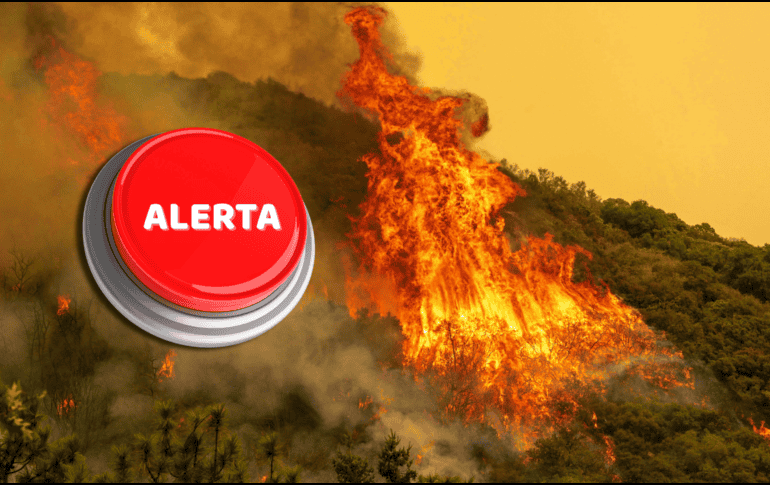 Son varios los estados de México que podrían verse afectados por incendios forestales. EFE / ARCHIVO