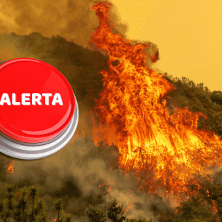 Advierten de INCENDIOS forestales para estos estados HOY