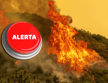 Son varios los estados de México que podrían verse afectados por incendios forestales. EFE / ARCHIVO