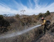 Bosque La Primavera permanecerá abierto durante la temporada de estiaje, señala el alcalde de Zapopan Juan José Frangie. ESPECIAL / SEMADET