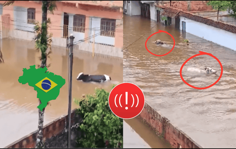 Las autoridades locales y equipos de emergencia están trabajando en labores de rescate y asistencia a los afectados en estas inundaciones. ESPECIAL/X