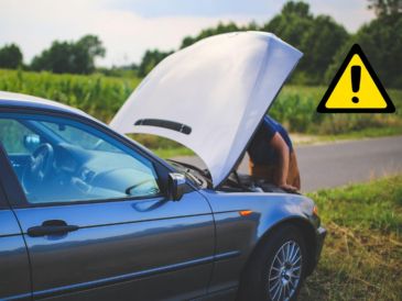 Si no cuentas con herramienta o no puedes solucionar el problema por tu cuenta, el gobierno ofrece servicios gratuitos a los que puedes acudir. Canva