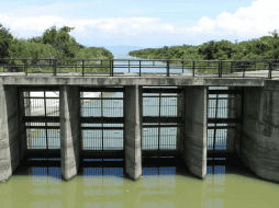 Un nuevo acueducto tendría un costo estimado de 6 mil 500 millones de pesos. EL INFORMADOR / ARCHIVO