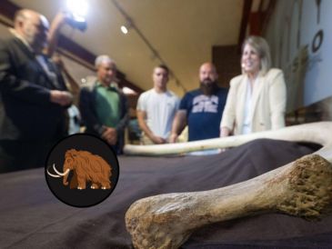 Una asociación avisó e descubrimiento de una costilla completa de 1,40 metros, que se cree que podría ser de un mamut de unas 8 toneladas de peso. EFE/ M. Guillén