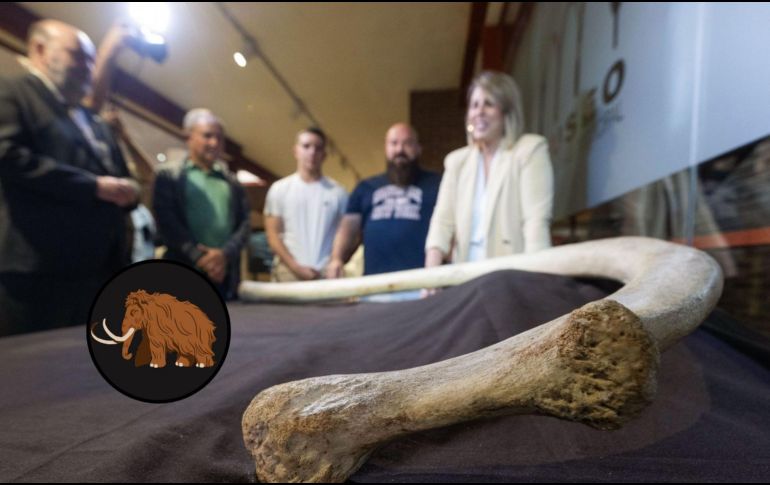 Una asociación avisó e descubrimiento de una costilla completa de 1,40 metros, que se cree que podría ser de un mamut de unas 8 toneladas de peso. EFE/ M. Guillén