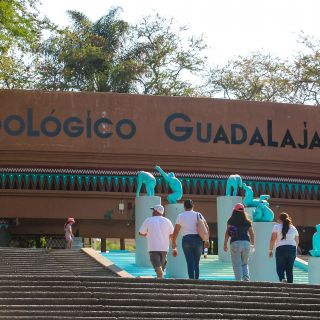 ¡Disfruta de las vacaciones en el Zoológico Guadalajara! Conoce sus atractivos y horarios especiales