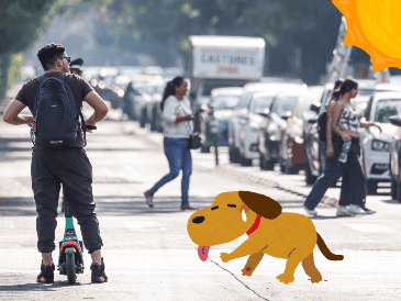 Para el AMG, se prevé cielo despejado con algunas nubes dispersas; ambiente cálido en horas del día, fresco por la noche y hasta el amanecer. EL INFORMADOR / ARCHIVO