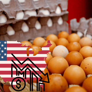 Huevos alcanzan precios récord a pesar de proyecciones de Trump
