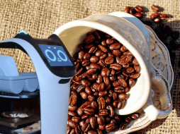 Anímate a visitar esta cafetería y tener una experiencia futurista con los “Michirobots” y su temática de gatos. ESPECIAL/ Pixabay.