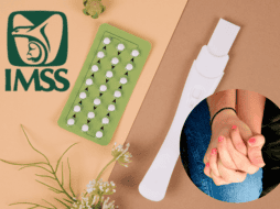 El concepto de planificación familiar hace referencia a la capacidad que toda persona debe tener para decidir sobre su reproductividad de forma libre, responsable e informada. ESPECIAL