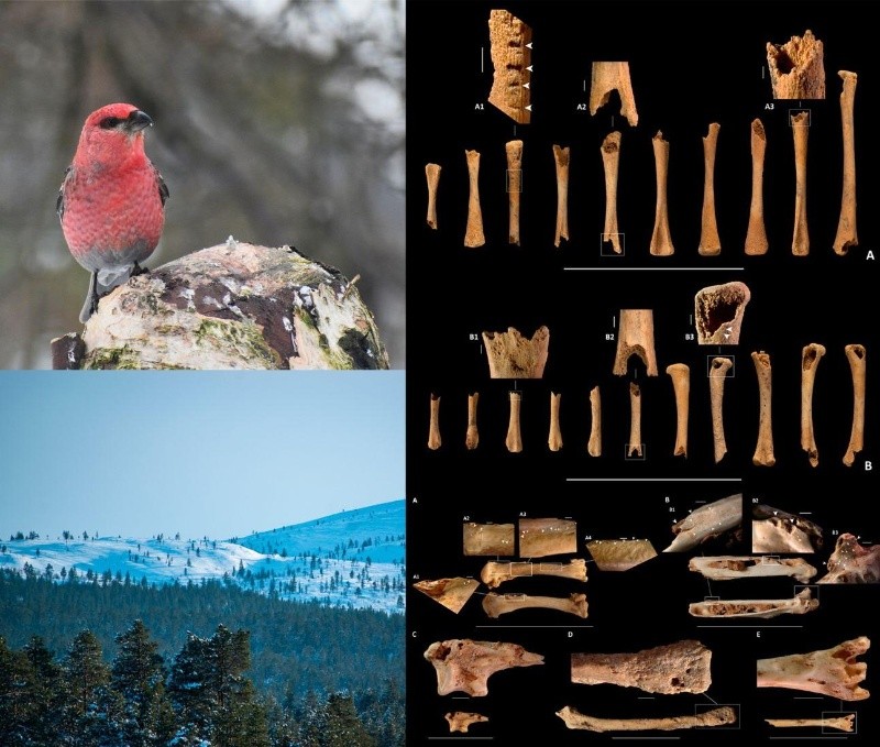 IPHES-BÚSQUEDA EFE / M. Marqueta