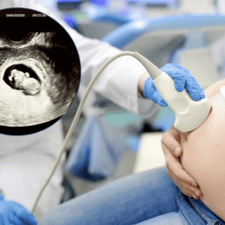 Éste es el orden en que se desarrollan las partes del cuerpo dentro del útero