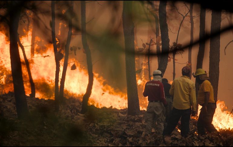 México sufre dos temporadas de incendios forestales al año, con la primera entre enero y junio para las zonas centro, norte, noreste, sur y sureste del país. EL INFORMADOR / ARCHIVO