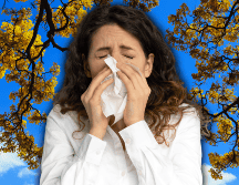 La rinitis alérgica o fiebre del heno se caracteriza por la presencia de estornudos, comezón, prurito óptico y en la garganta, nariz o boca. EL INFORMADOR / ARCHIVO / ESPECIAL