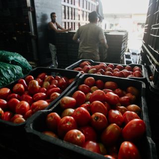 Estados Unidos anuncia aranceles al jitomate mexicano