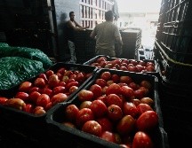 En México estados como Sinaloa, San Luis Potosí, Jalisco, Michoacán y Baja California Sur son los más importantes en la producción de jitomate tanto para el mercado nacional como de exportación. EL INFORMADOR/ ARCHIVO.