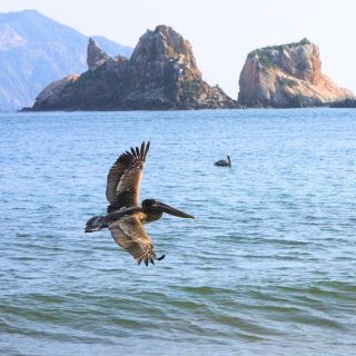 Playas de Jalisco para pasear en días santos