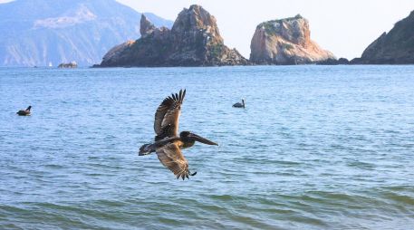 MELAQUE. Aprovecha y no te pierdas la oportunidad de salir de la ciudad para pasear, disfrutar los destinos de playa de Jalisco. EL INFORMADOR / ARCHIVO
