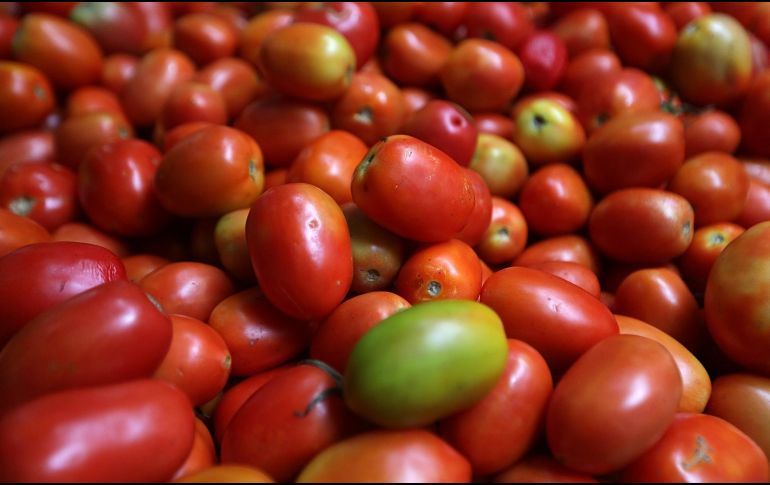 El Departamento de Comercio estadounidense dijo ayer lunes que se retiraba de un acuerdo de 2019 que había suspendido una investigación antidumping sobre las importaciones de jitomate fresco procedente de México. NTX / ARCHIVO