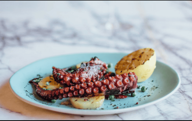 Como sucede con muchos pescados y mariscos, el pulpo se caracteriza por tener un bajo contenido calórico en relación con su alto aporte de proteínas. Unsplash.