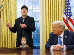 El Departamento de Eficiencia Gubernamental liderado por Musk está controlando los procesos de solicitud de las 