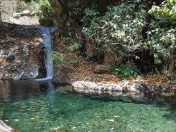 Cerca de la ZMG existen distintos cuerpos de agua termal que son ideales para conocer y vivir este puente vacacional de la Semana Santa. ESPECIAL