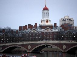 Harvard es la segunda institución blanca del Grupo de trabajo federal para combatir el antisemitismo. AP/ARCHIVO